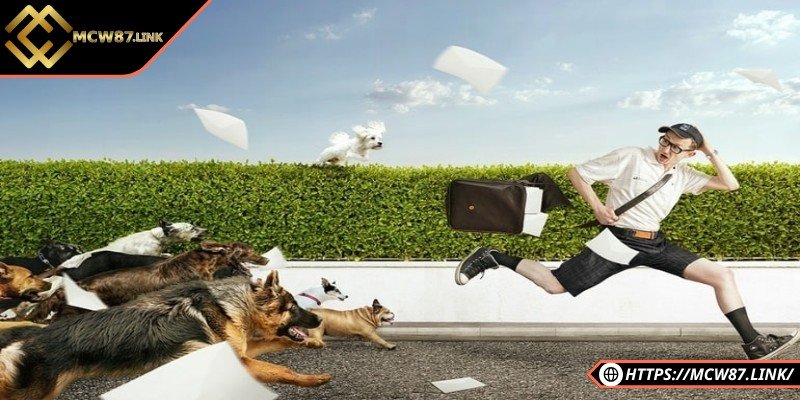 Nằm mơ thấy chó là điềm báo gì – May mắn hay rủi ro? 4 Nằm mơ thấy chó cả đàn, điều đó cho thấy bạn đang có mối quan hệ xã hội tốt