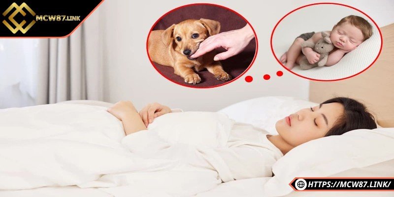 Nằm mơ thấy chó là điềm báo gì – May mắn hay rủi ro? 2 Nằm mơ thấy chó màu nâu mang đến con số gì?