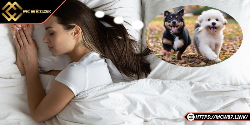 Nằm mơ thấy chó là điềm báo gì – May mắn hay rủi ro? 1 Giải mã giấc mơ thấy chó là điềm báo tốt hay xấu